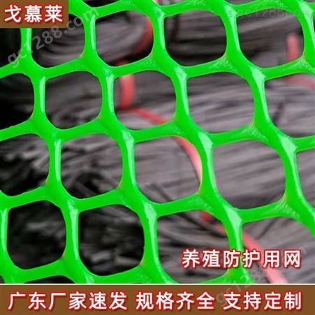 浙江绿色床垫网 土工塑料平网 加厚阻燃绿化塑料网围栏 厂家定制 戈慕莱