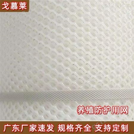 浙江绿色床垫网 土工塑料平网 加厚阻燃绿化塑料网围栏 厂家定制 戈慕莱