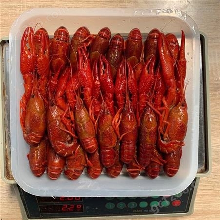 22年1月还剩一批冻虾 冷冻清水小龙虾 全红虾做的 规格已不多 年前进货的尽快