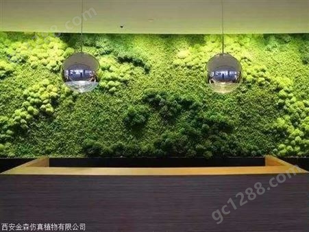 西安绿植墙 室内垂直绿化植物墙 高级垂直绿化墙 墙面绿植装饰