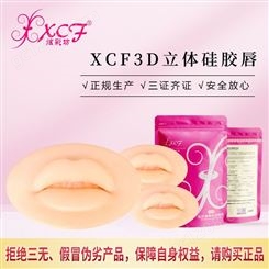 广州XCF炫彩坊3D嘟嘟练习唇，当季新品练习款，柔软好上色