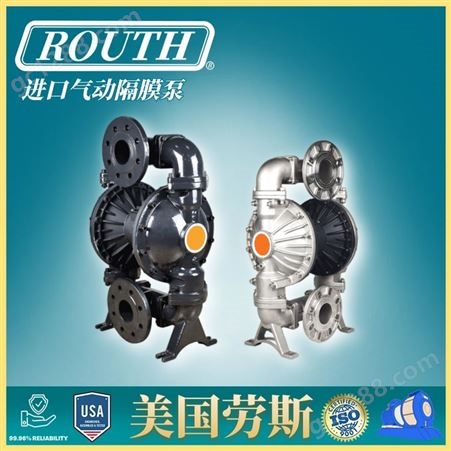 进口气动隔膜泵 不锈钢 铸铁 RTG 卫生级 易挥发 304 306L美国劳斯ROUTH