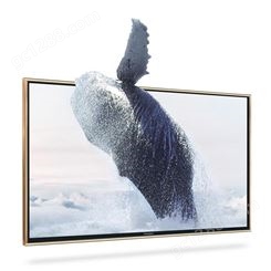 沃派防爆电视系列 65寸网络电视机 智能4K液晶电视