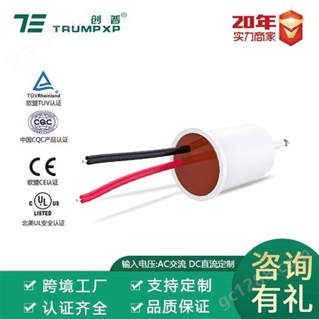 TFB-Y82创普TUV认证电吹风直发器交流负离子发生器TFB-Y82