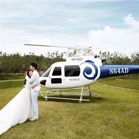 直升机网红拍照模型 景区婚纱摄影拍照道具 缤纷四季
