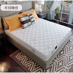 酒店软硬两用椰棕乳胶弹簧床垫 天然乳胶床垫生产 舒扬家具